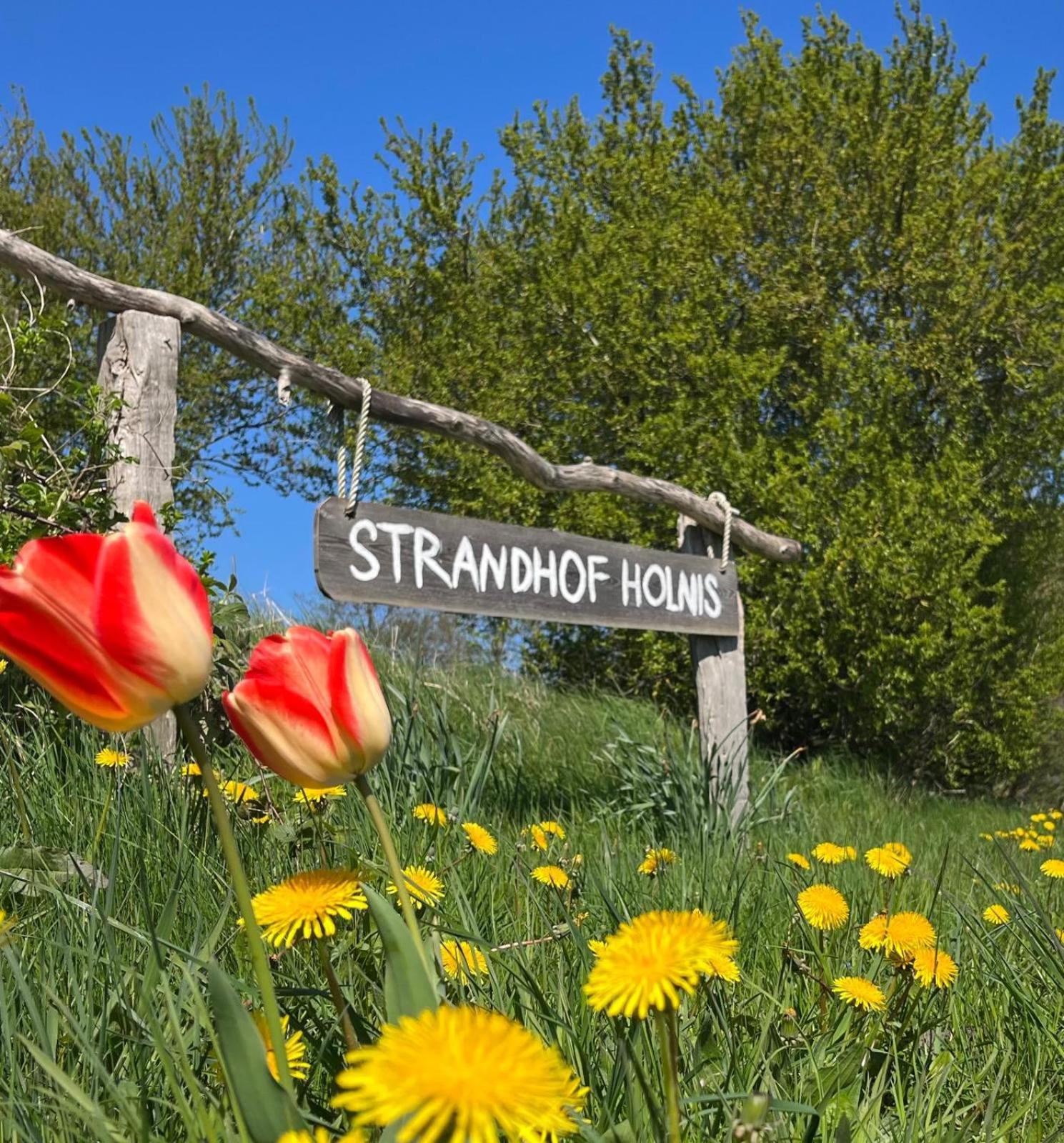 Strandhof Holnis *